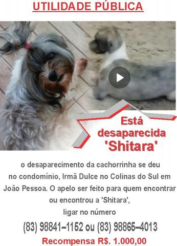 Meu Amor