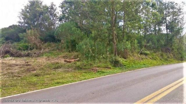 Sítio à venda, 10000 m² por r$ 424.000,00 - linha bonita - gramado/rs - Foto 2