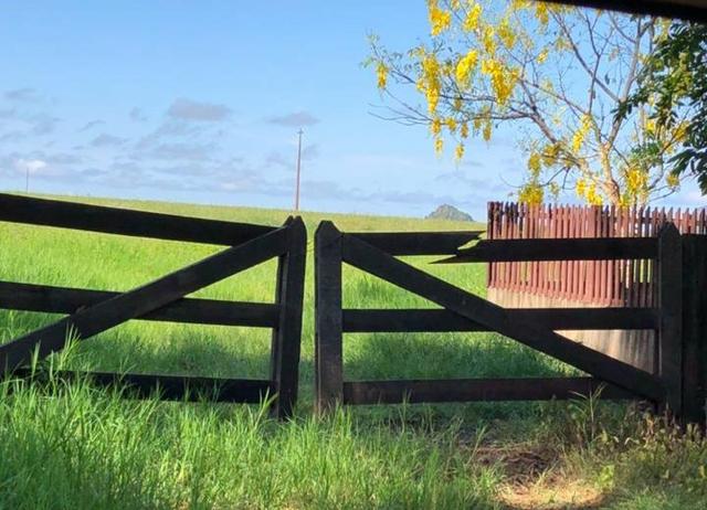 Fazenda em Nova Marilândia 206 alquers - Foto 5