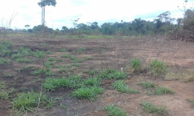 3 terreno no ramal bom Jesus leia o anúncio - Foto 4
