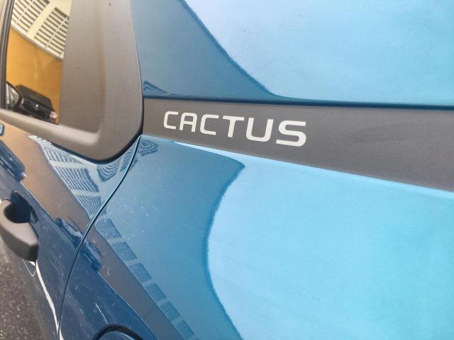 GB - Citroën C4 Cactus Feel Pack, único dono, lancamento - Foto 5