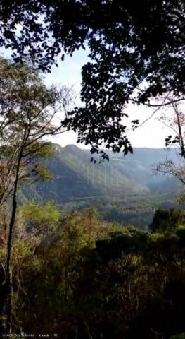 Sítio à venda, 44000 m² por r$ 950.000,00 - linha nova - gramado/rs