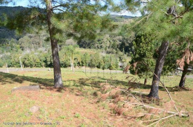 Sítio à venda, 45000 m² por r$ 897.000,00 - linha bonita - gramado/rs - Foto 17