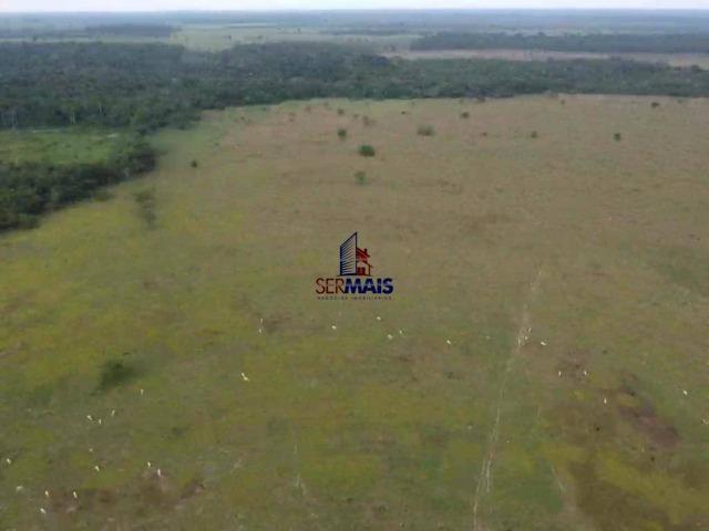 Fazenda à venda, por R$ 4.000.000 - São Francisco do Guaporé/Ro - Foto 2
