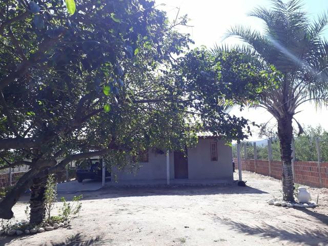 Sitio em Jacobina - Foto 8