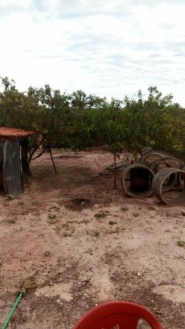 Sitio - Foto 3