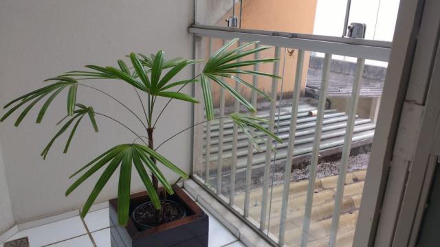 Apartamento carlos prates
