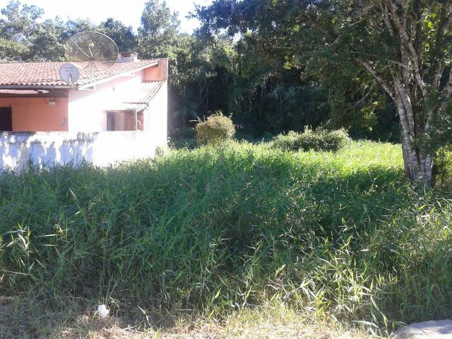 Terreno Itajuba - Foto 3