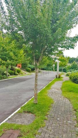 Terreno à venda, 869 m² por r$ 180.000,00 - lago negro - gramado/rs - Foto 6