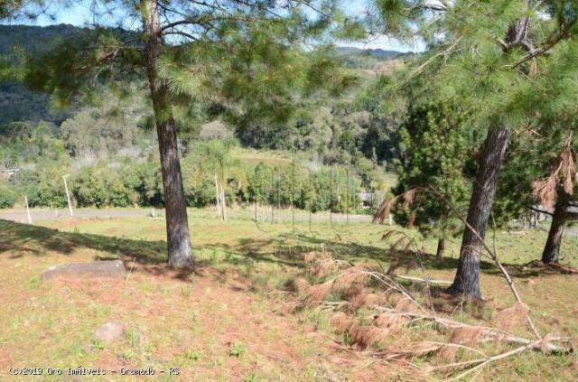 Sítio à venda, 45000 m² por r$ 897.000,00 - linha bonita - gramado/rs - Foto 13
