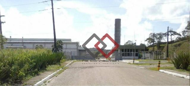 Galpão para alugar, 21887 m² - suape - ipojuca/pe
