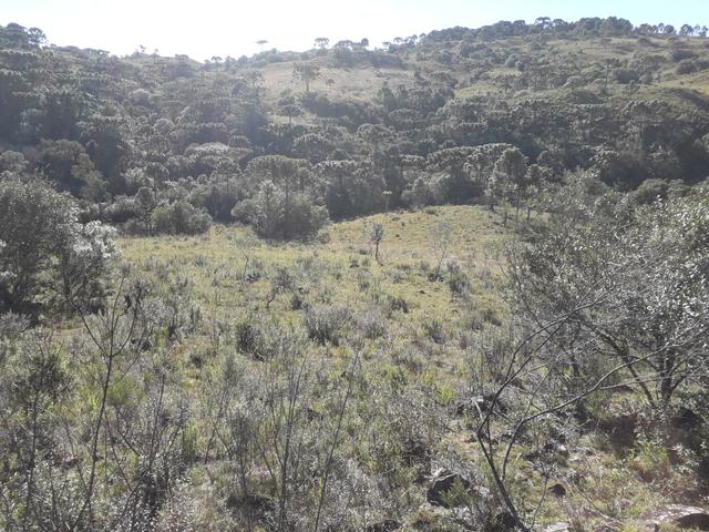 Terreno em Urupema - Foto 13