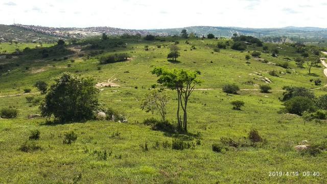 Vendo 64 h na PE 87 a 4 km do centro de Gravatá PE - Foto 6