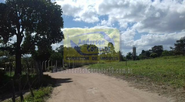 Excelente Lote Com Ótimo Preço ? Próximo À Mandacaru - Gravatá/PE / Propriedade ID : L0681