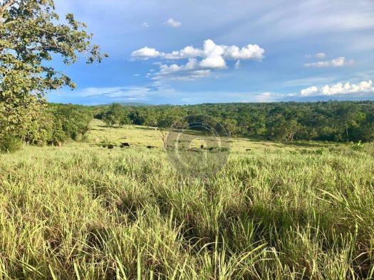 Sítio em santo antônio do leverger - Foto 15