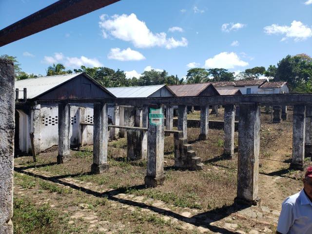 Ilhéus. Fazenda com 368 Hectares cultivo de cacau e gado - Foto 8