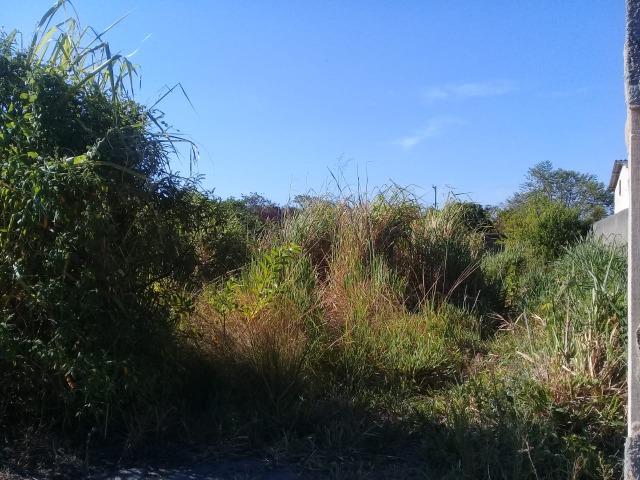 L-Ótimo Terreno no Bairro Itatiquara em Araruama/RJ - Foto 4