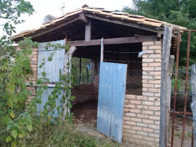 Excelente sítio, com casa sede e casa de caseiro na região de Santo Estevão Bahia - Foto 5