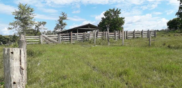 Fazenda com muita pastagens - Foto 6