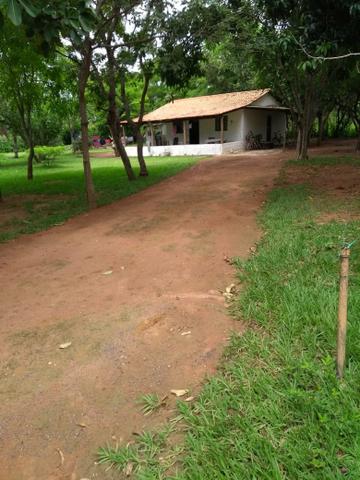 Chácara 5,8 Ha/ Estrada velha da Guia/ 10 minutos da AMBEV - Foto 4