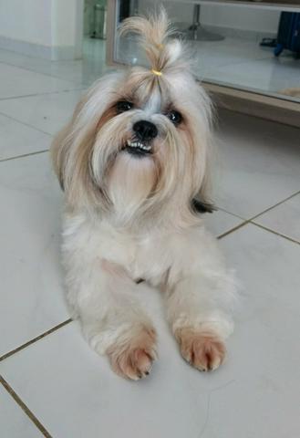Procuro NAMORADA - Foto 5