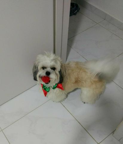 Procuro NAMORADA - Foto 3