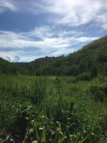Propriedade Rural - Foto 4