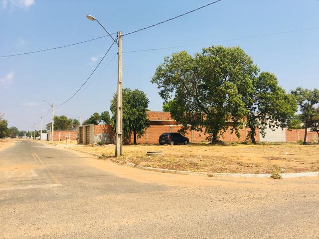 Terrenos no plano diretor sul próximo as faculdade ulbra e católica parcelados - Foto 14