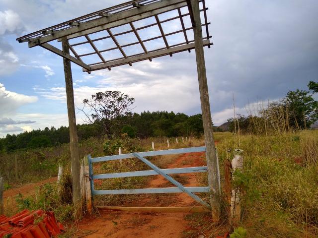 Arrendo 73 há pra Recria em Lagamar!