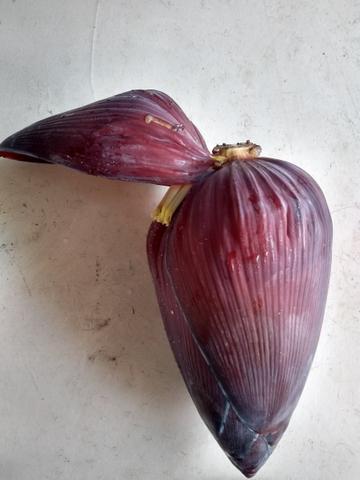 Coração De Bananeira/umbigo Da Banana - Foto 4