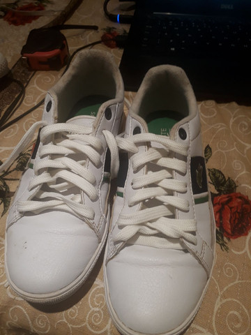 tenis lacoste unisex