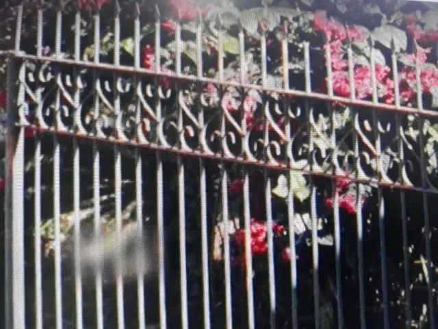 Grade em ferro maciço com incríveis 16,8 metros e 2 portões de garagem  - Foto 2