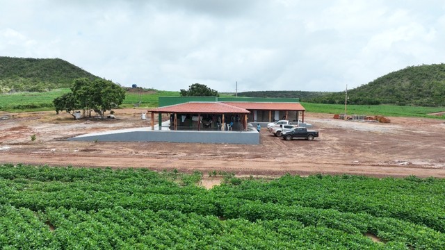 Fazenda de 2.177 hectares Mato Grosso  - Foto 5