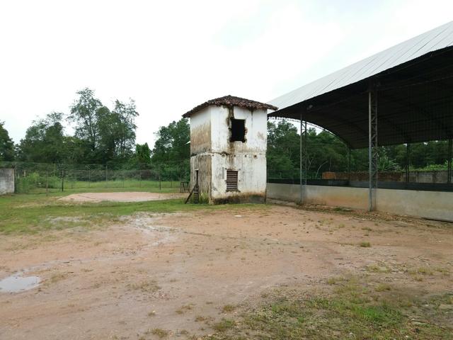 Oportunidade: Terreno Preço de ocasião com 17.000m2 na Nova Independência - Foto 4