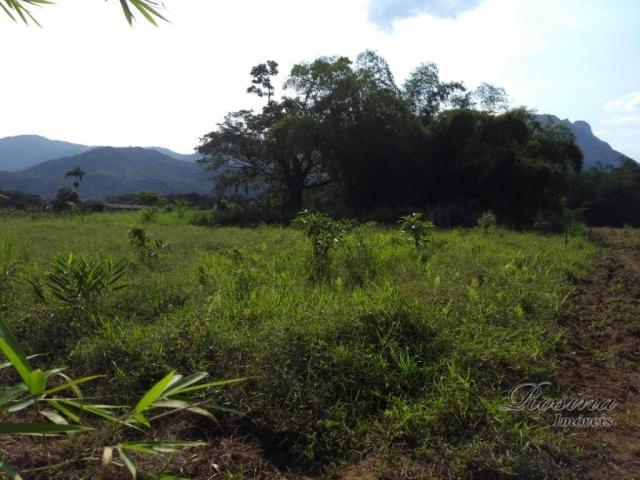 Área à venda, 22967 m² por r$ 210.000 - américa de baixo - morretes/pr - Foto 12