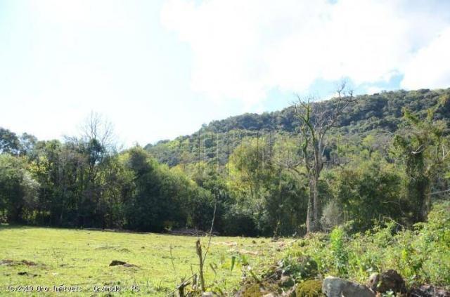 Sítio à venda, 45000 m² por r$ 897.000,00 - linha bonita - gramado/rs - Foto 2
