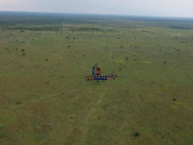 Fazenda à venda, por R$ 4.000.000 - São Francisco do Guaporé/Ro - Foto 9