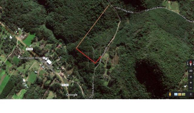 Área à venda, 12,4he linha araripe - gramado/rs