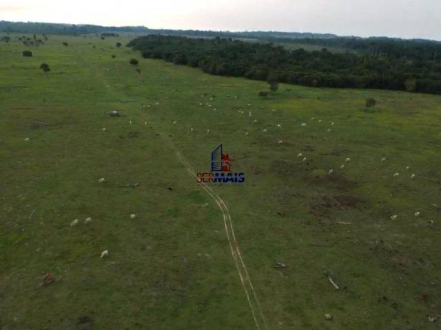 Fazenda à venda, por R$ 4.000.000 - São Francisco do Guaporé/Ro - Foto 11