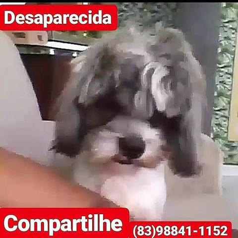 Meu Amor - Foto 2