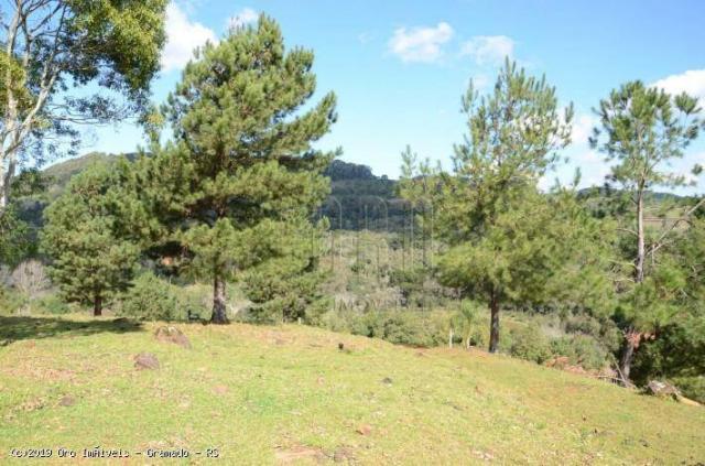 Sítio à venda, 45000 m² por r$ 897.000,00 - linha bonita - gramado/rs - Foto 18