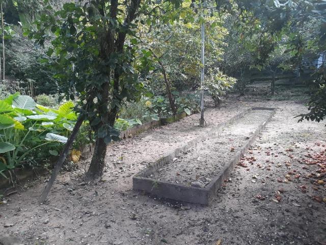 Caetano Imóveis - Sítio de 4.600m² com localização privilegiada (c/ acesso asfaltado!) - Foto 5