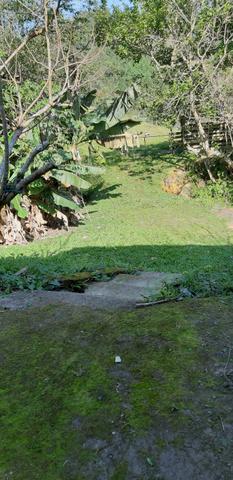 Chácara - Terreno - Foto 4