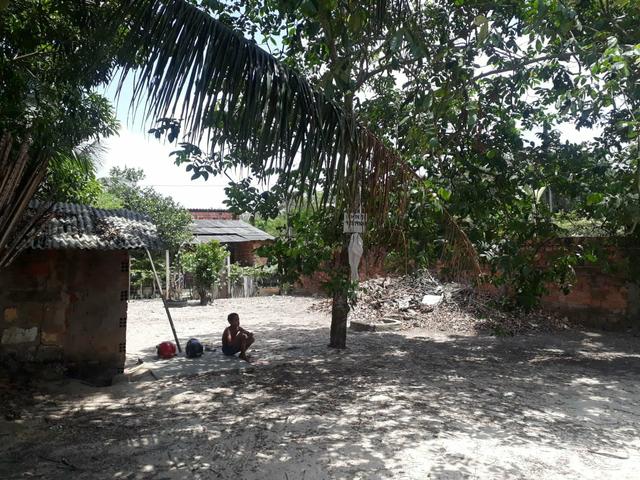 Terreno no são Raimundo - Foto 4