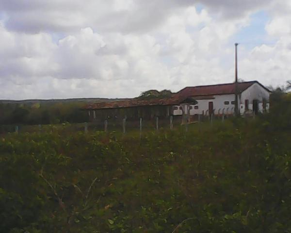 Vendo Fazenda