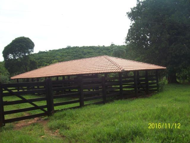 Chácara em Anicuns, 2 Alqueires e 37 Litros de Pura Beleza e Encantamento, Rica em Água - Foto 3