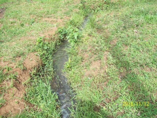Chácara em Anicuns, 2 Alqueires e 37 Litros de Pura Beleza e Encantamento, Rica em Água - Foto 10