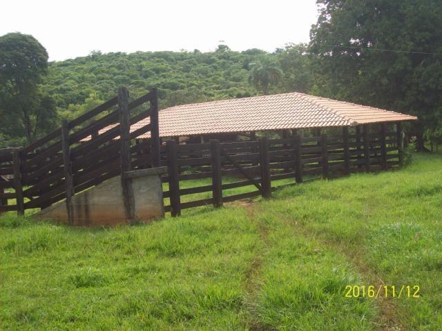 Chácara em Anicuns, 2 Alqueires e 37 Litros de Pura Beleza e Encantamento, Rica em Água - Foto 4