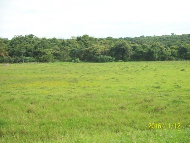 Chácara em Anicuns, 2 Alqueires e 37 Litros de Pura Beleza e Encantamento, Rica em Água - Foto 12