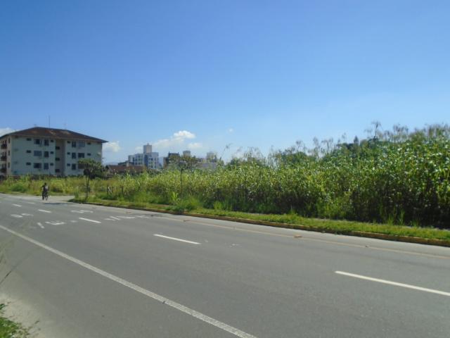Terreno para alugar em America, Joinville cod:08039.001